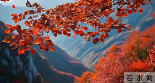 女人动了情，往往不喊老公，而是用这几种称呼