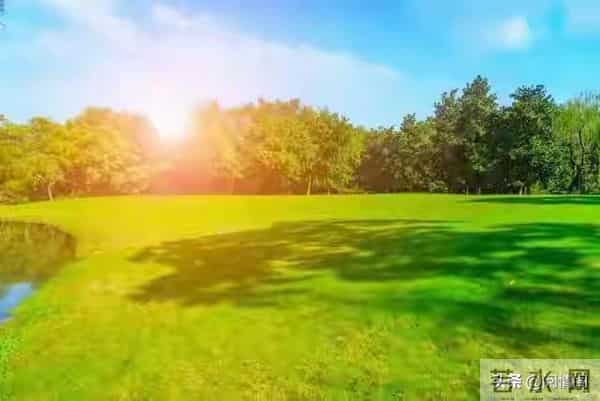 发现妻子在外儿女双全，我平静的离了婚，两年后她带着娃上门认爹