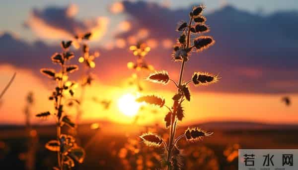 一眼就爱上！20个让你念念不忘的神仙句子，每一句都值得抄下来