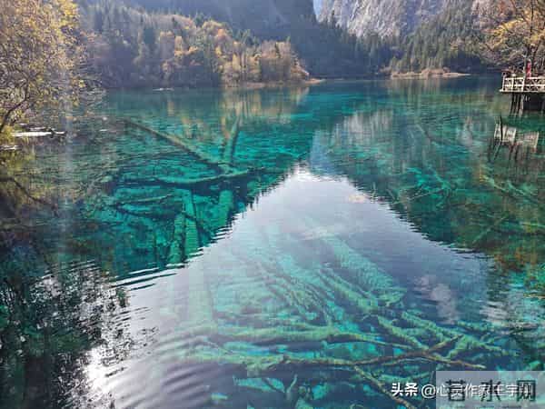 别困于浮云,守好温饱与心安,当下即是最好时光