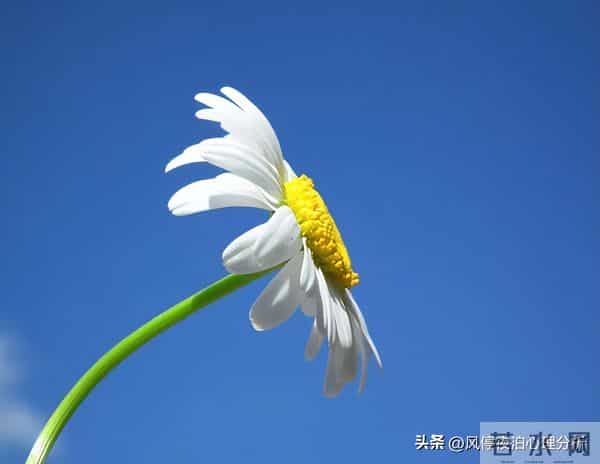 两个有家庭的人，相互暧昧已经不妥！这几件事就别做了