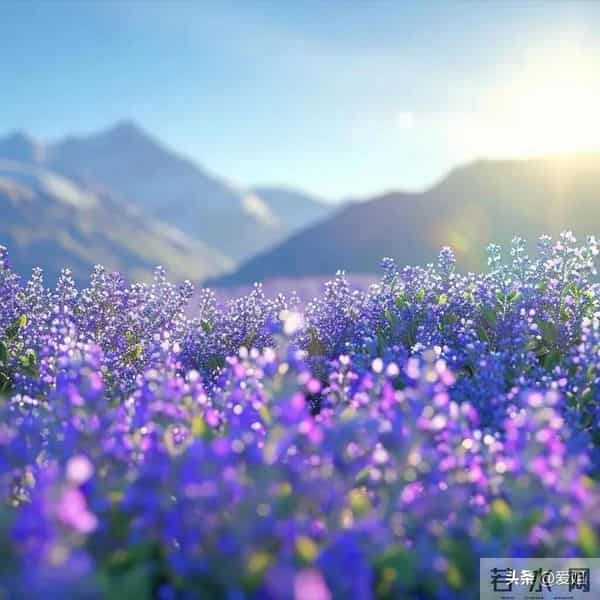 明天就是你的转运日，好运已在路上