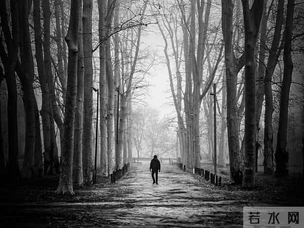 世上最危险的人,往往是独来独往的,要么不遇,一遇就是结局。