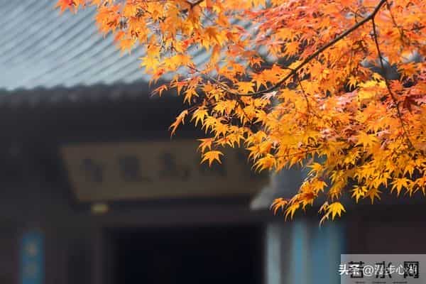 忠告子女：再孝顺，也不要为年过75的老父老母，做这4件事