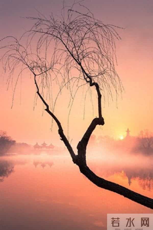 人到中年,越是求“稳”,越容易“活腻了”