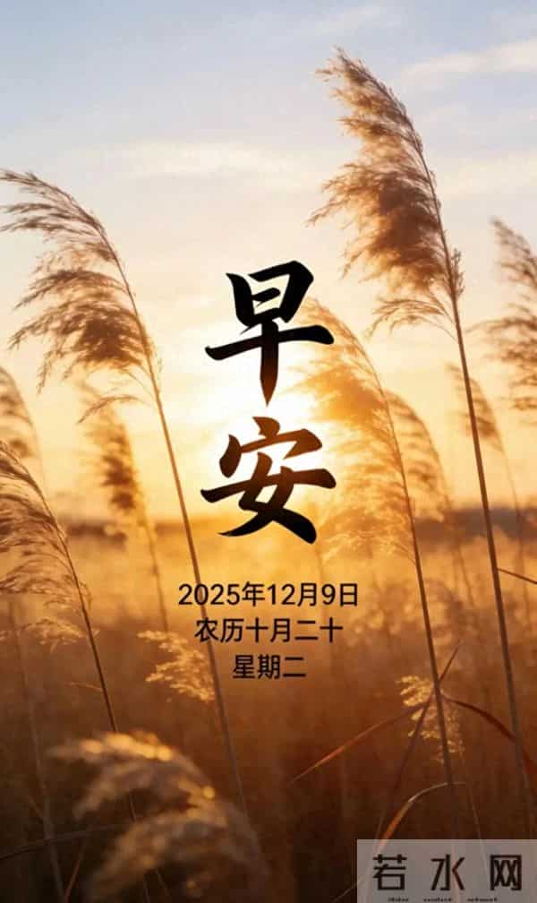 2025.12.9 冬天周二早安愉快！最新精美周二早上好温馨祝福语图片