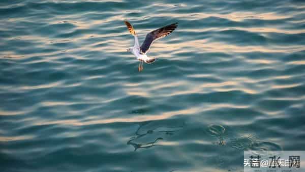 人活着就两件事：一是让肉体健康二是让灵魂自在，藏着一生的福气