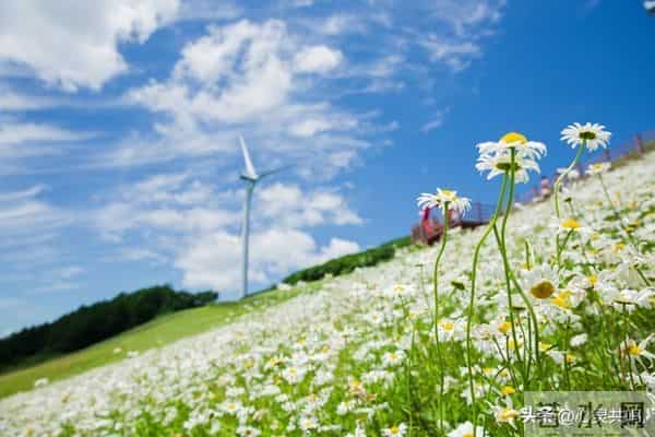 两性关系扒光给你看：10个的真相，不准反驳