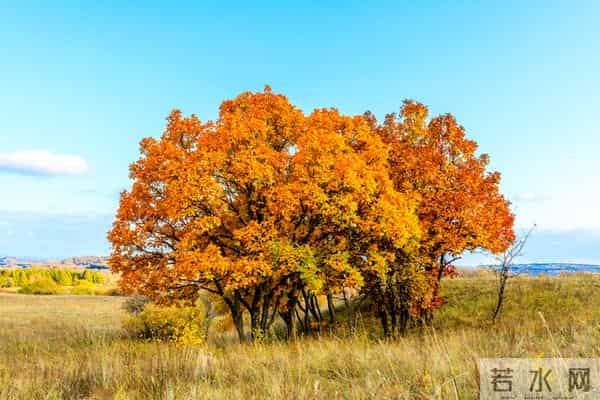 学会一种很厉害的本事：大大方方地“小气”