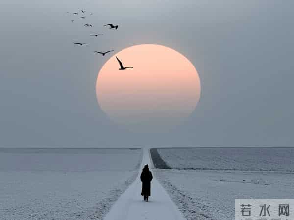 世上最危险的人,往往是独来独往的,要么不遇,一遇就是结局。