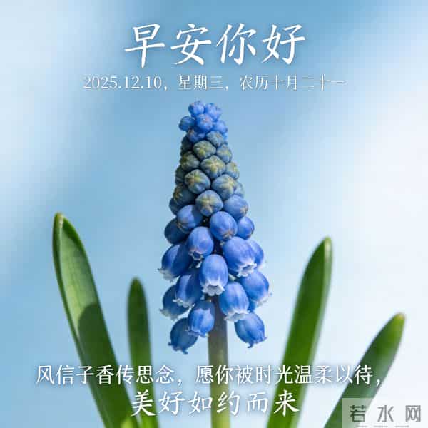 2025.12.10 早安祝福 围巾手套御严寒 亲友叮咛情意暖 早安幸福万年长