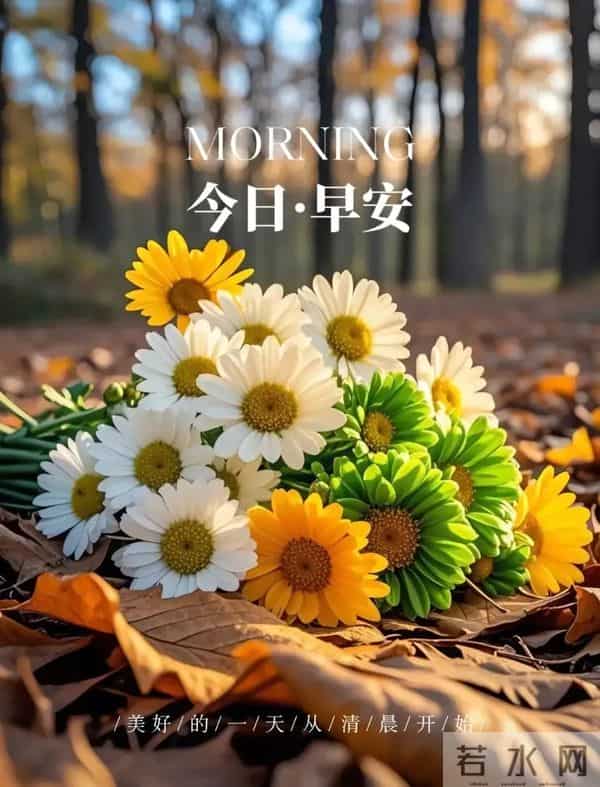 2025年12月10日周三早安 早上好图片最新今天 温馨淡雅的早安图片