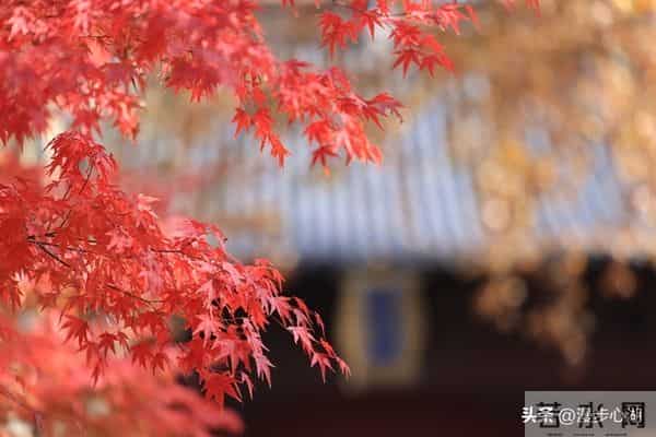 忠告子女：再孝顺，也不要为年过75的老父老母，做这4件事