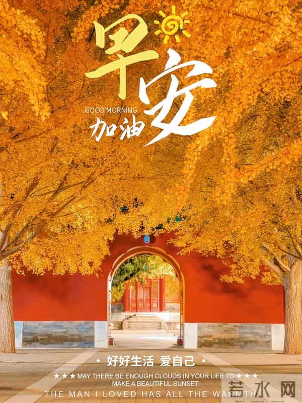 11月9日早上好 早上好温馨问候图片 早安图片最新今天 周二愉快