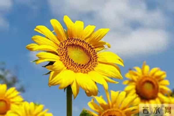 2026年贵人最多的三个星座，越低调，越有人挺你