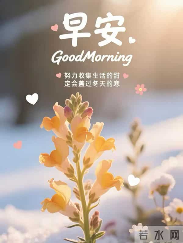 接住我的心意，愿你平安健康常伴，日日好心情！早上好！