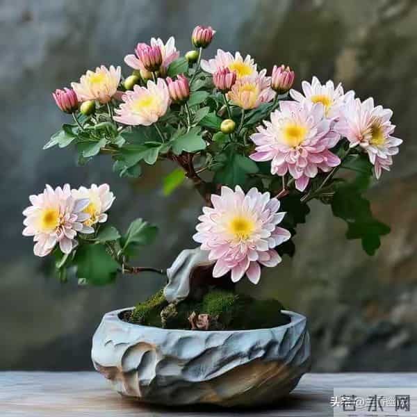 两性关系,68女人大实话,男人过了70岁,只剩下两个用处