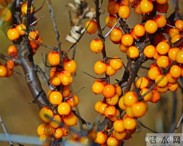 男人爱你”和“男人玩你”，身体语言不会说谎。