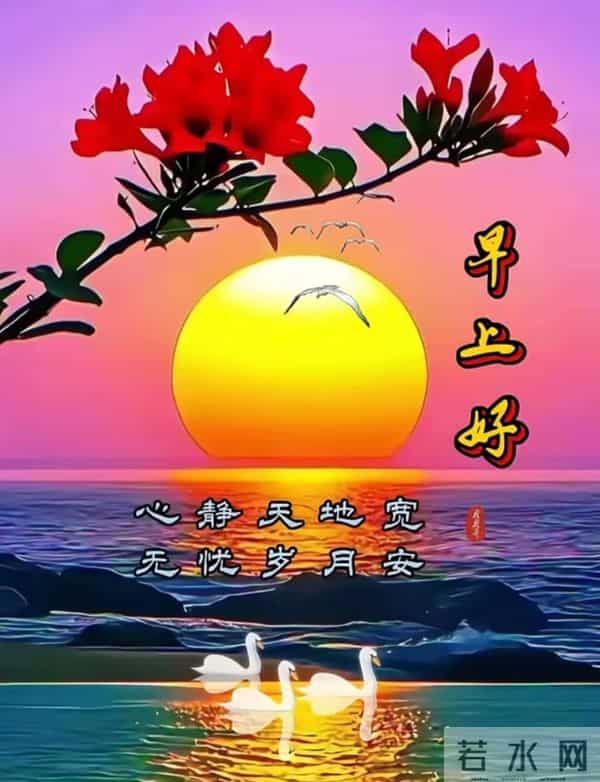 早安,不负冬日好时光