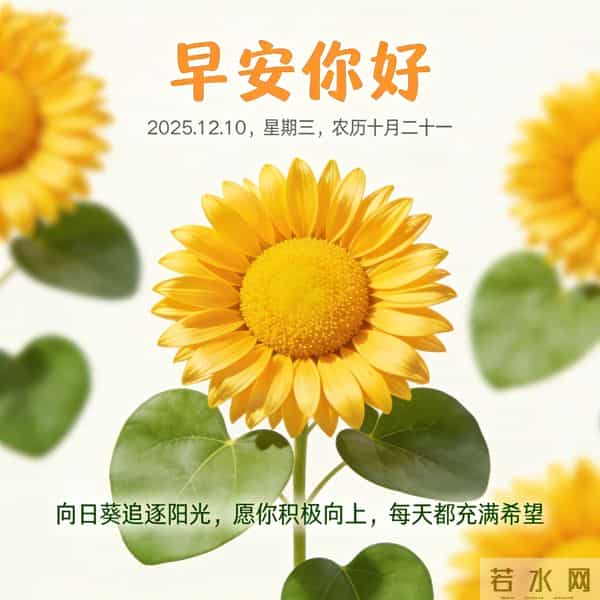 2025.12.10 早安祝福 围巾手套御严寒 亲友叮咛情意暖 早安幸福万年长