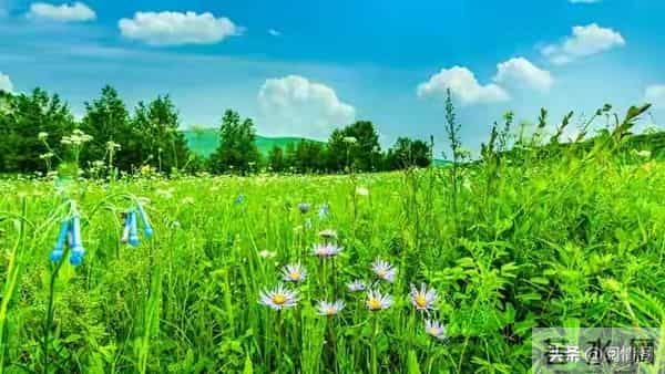 发现妻子在外儿女双全，我平静的离了婚，两年后她带着娃上门认爹