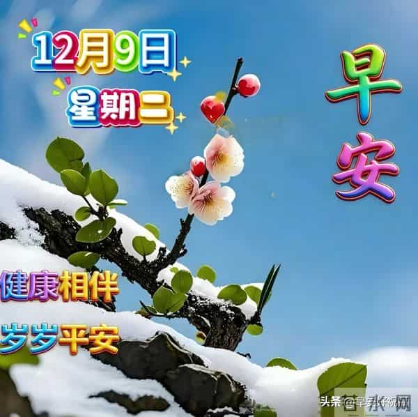 24张今日最新早安好祝福漂亮图片精选，新的一天，愿我们顺风顺水