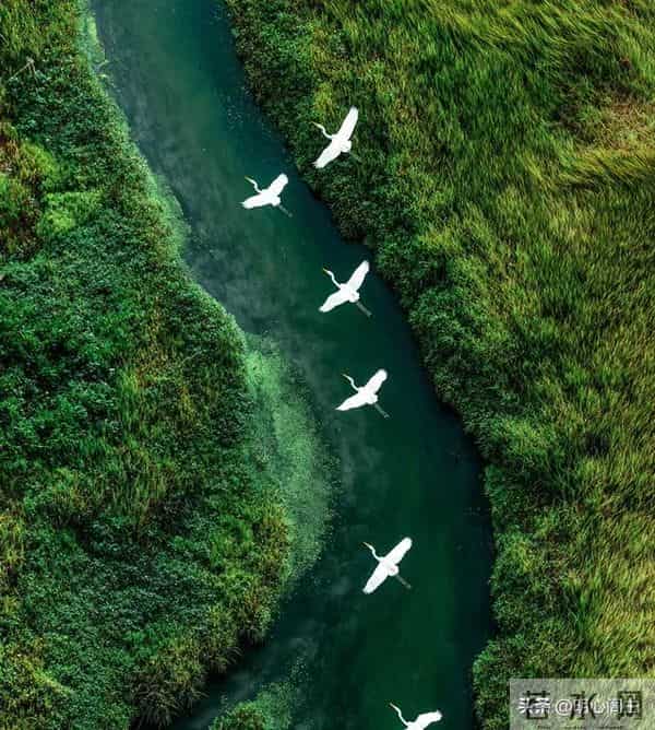 丧偶不仅仅是缘分已尽，而是告诉你，新的人生要重新开始了