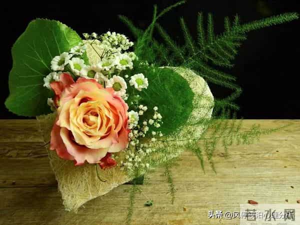 背叛，是一场理智的蓄谋已久！是深思熟虑的算计