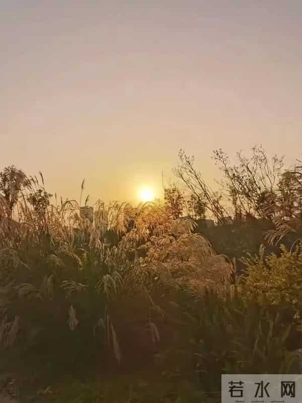 女人老牛吃嫩草是什么感觉？几位女人说了心里话，男人得听听！