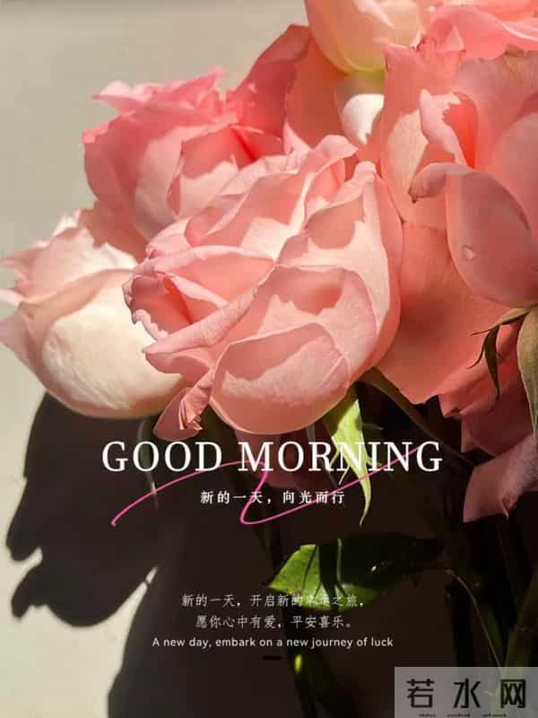 11月9日早上好 早上好温馨问候图片 早安图片最新今天 周二愉快