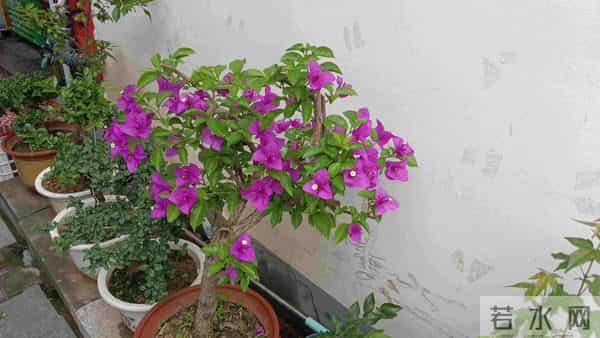 女儿不要彩礼和婚宴,我和老伴也取消陪嫁,女儿男友跟她提出分手