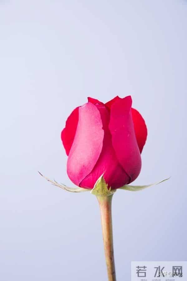 两性关系,女人可以搂着睡,亲她的嘴,但千万别全信她说的话