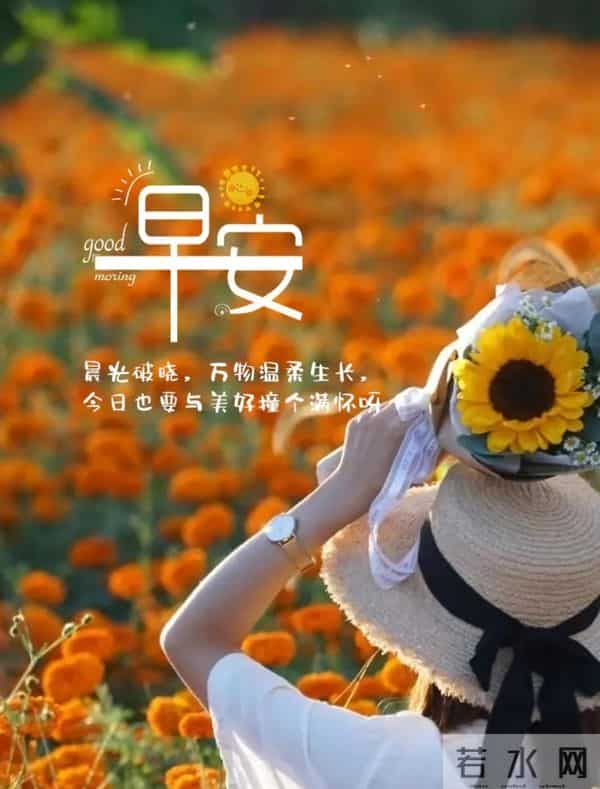 11月9日早上好 早上好温馨问候图片 早安图片最新今天 周二愉快