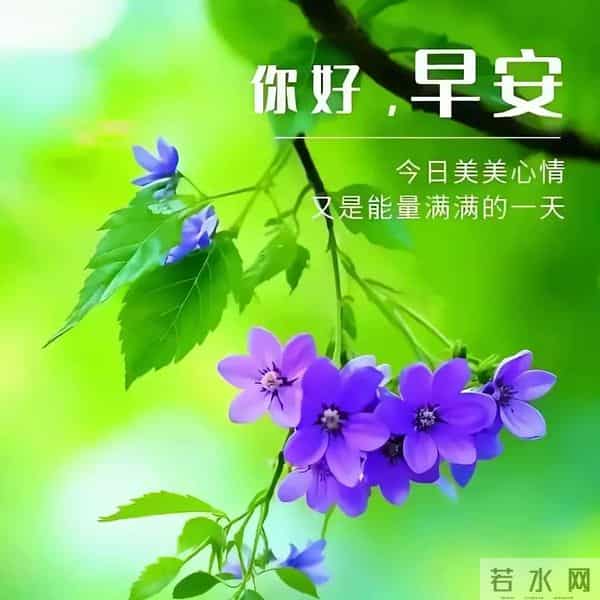 12月10日早安祝福图片。美好的清晨祝愿大家幸福快乐每天好心情