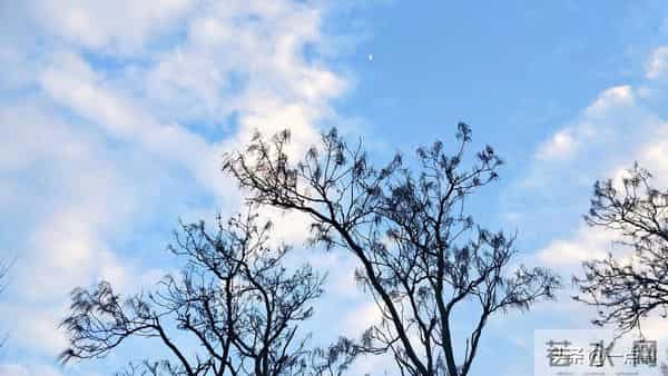 婆婆把房和钱都给了大姑姐，8年后拎包来我家，却说：养儿防老