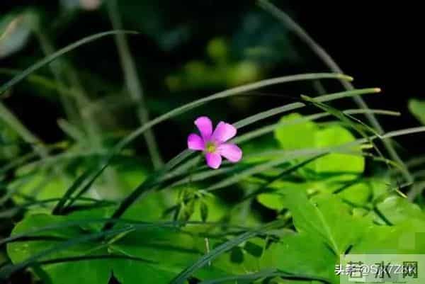 忠告子女:再孝顺,也不要为年过70的老父老母,做这4件事