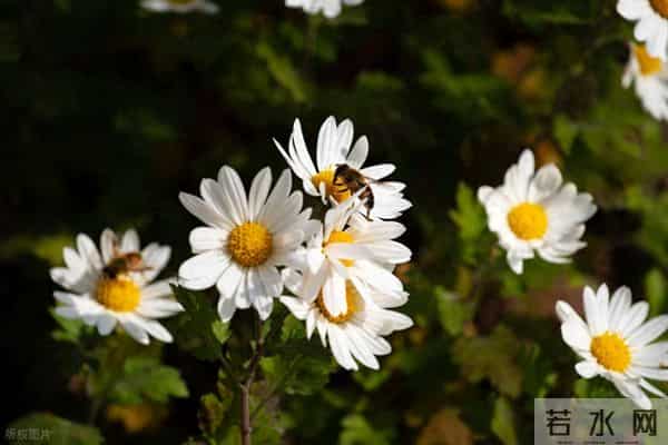 男人对你，经常有这些主动，就是深爱你了