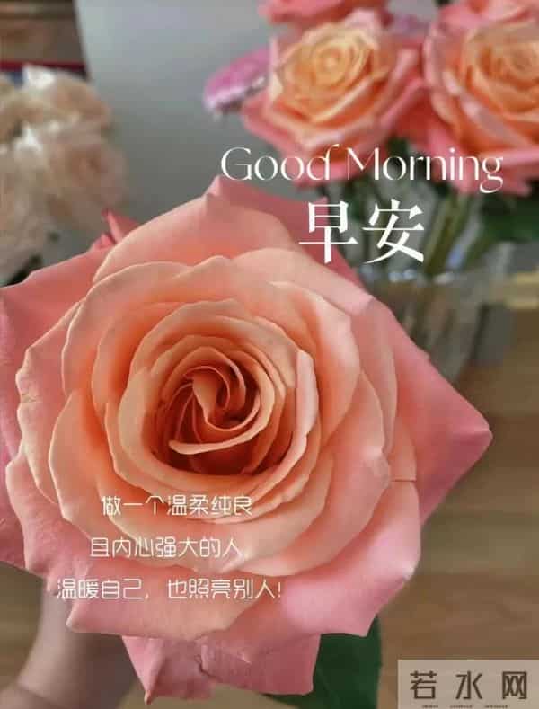 2025.12.09 冬天周二早安愉快!最新精美周二早上好温馨祝福语图片