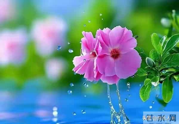 惊人的因果关系-男女之间,一旦发生暧昧关系,一辈子也忘不了