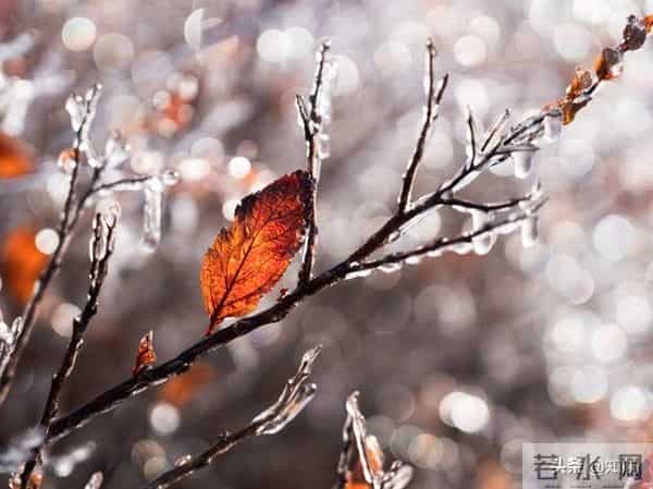 女人动了情,其实不会叫你“老公”,而是叫四个称呼