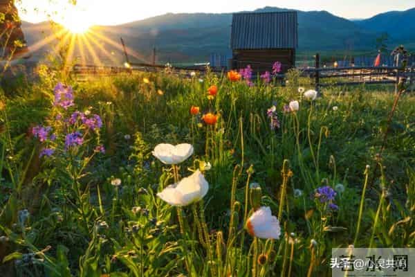 两性关系扒光给你看：10个的真相，不准反驳