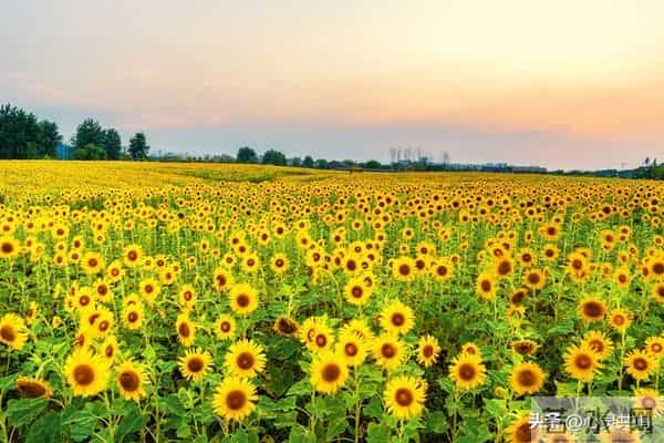 两性关系扒光给你看：10个的真相，不准反驳