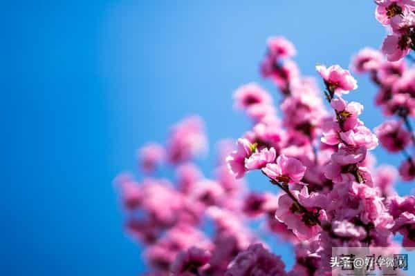 不管你承不承认,女人过了40岁,喜欢一个男人,就会为他做这些事