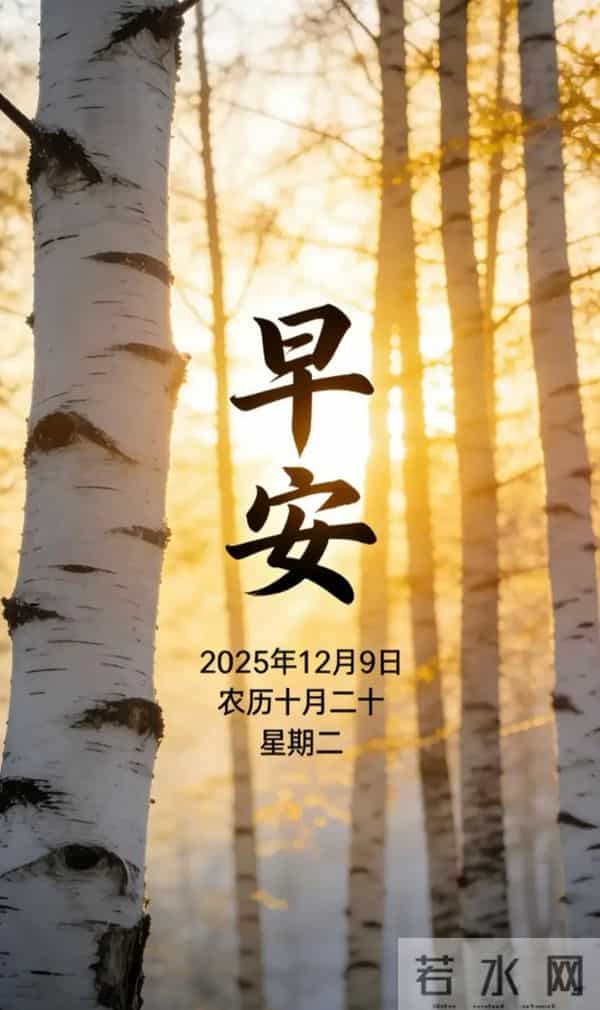 2025.12.9 冬天周二早安愉快！最新精美周二早上好温馨祝福语图片