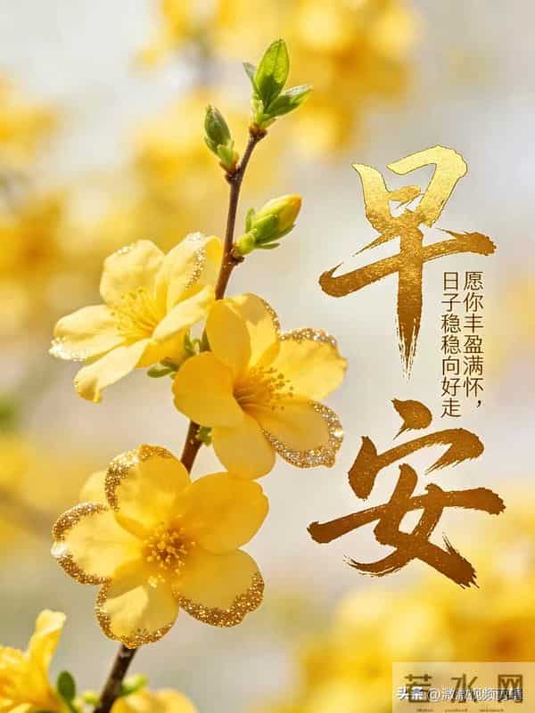 10张早安图片:走错路能调头,可人生的选择没有回头路!周三早安