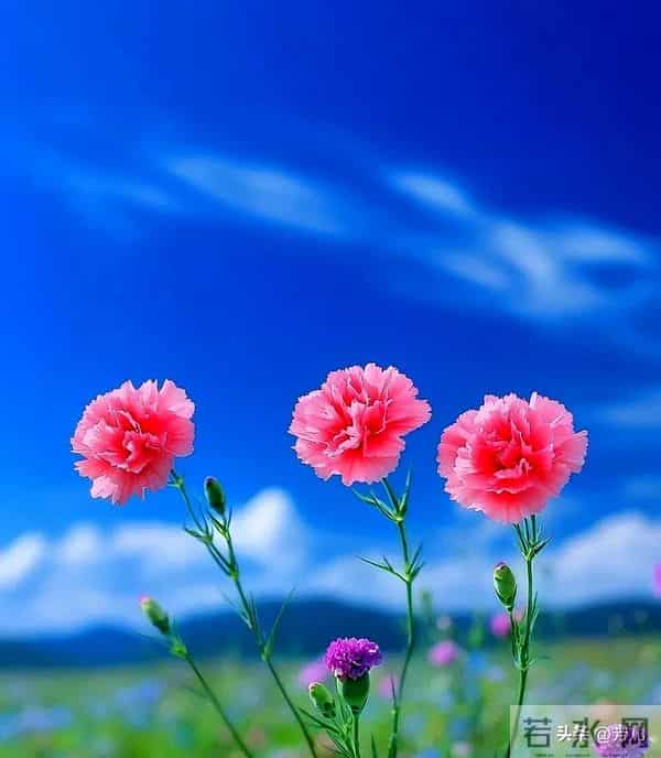 和兄弟姐妹翻脸后,还要不要来往?“过来人”的答案,字字扎心