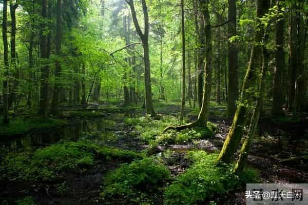 人有没有本事,看脾气便知,脾气越掘越硬的人,日子多半不好过