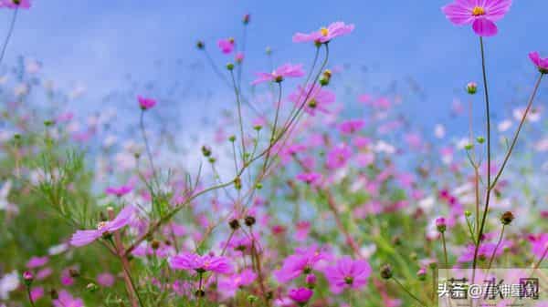 12月10日至12月19日，，射手座，星期三，即将发生！