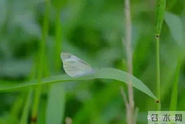 情绪管理超重要的,你怎么做到的?分享一下呗!