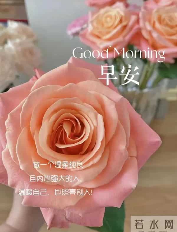 2025.12.09 冬天周二早安愉快!最新精美周二早上好温馨祝福语图片